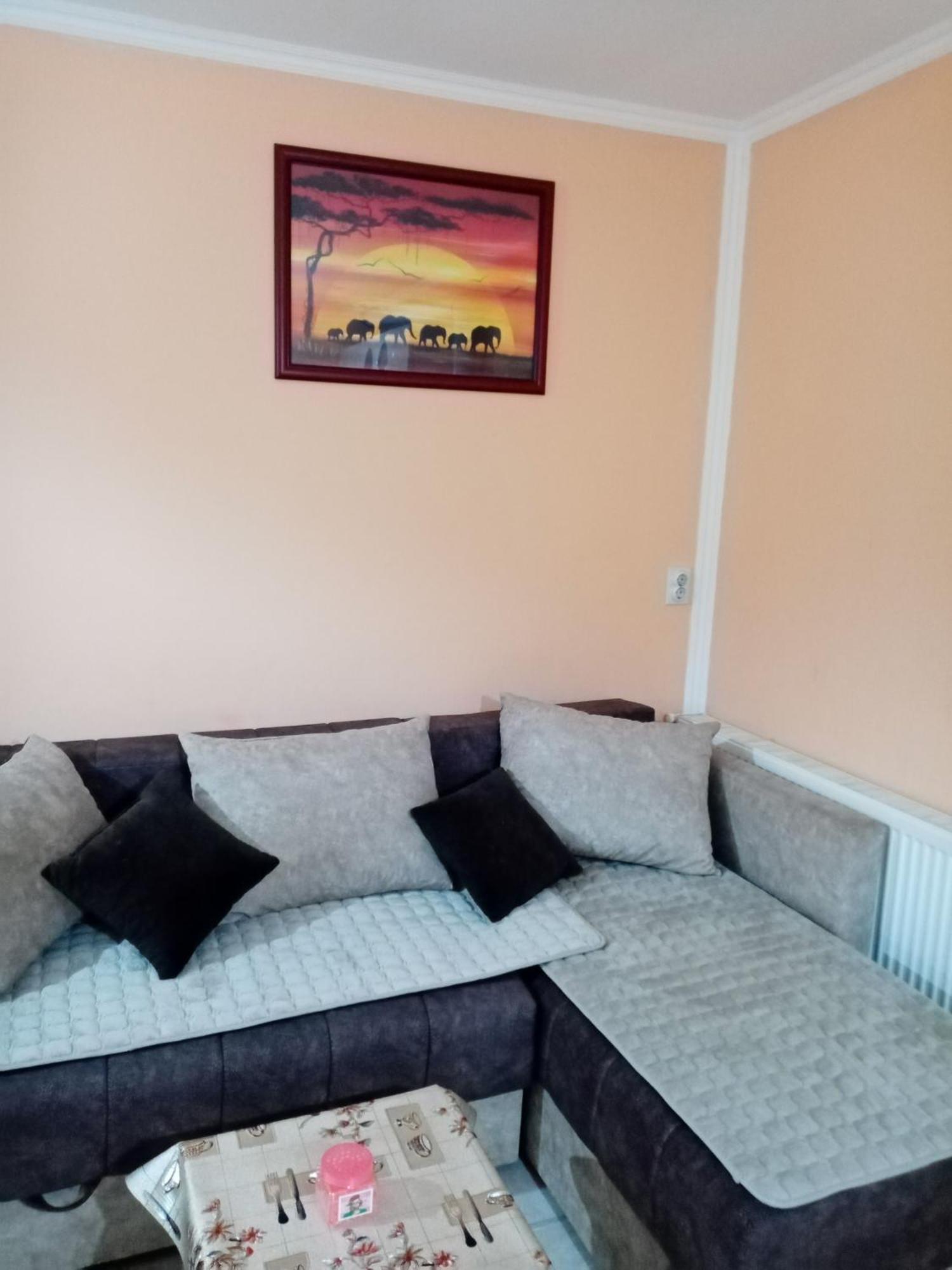 Milica Apartmani Vrdnik Exterior photo