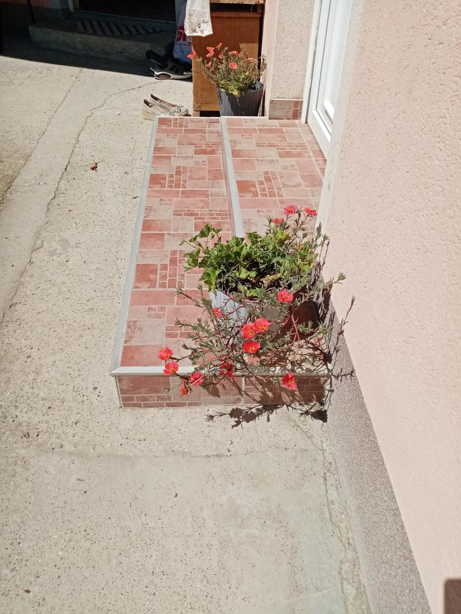 Milica Apartmani Vrdnik Exterior photo