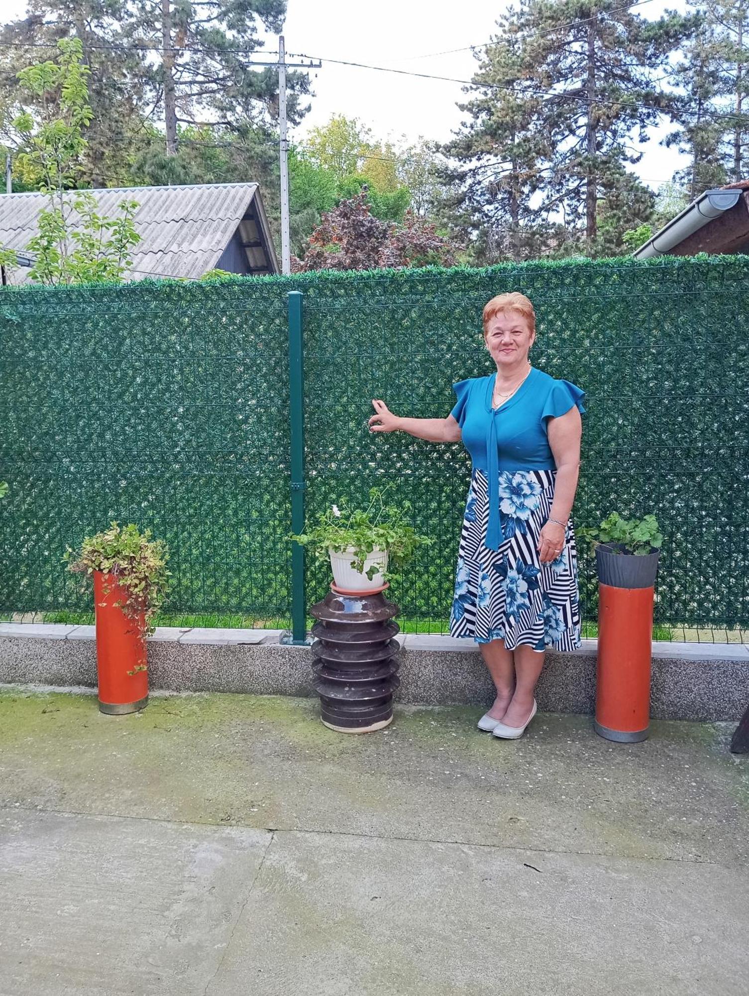 Milica Apartmani Vrdnik Exterior photo